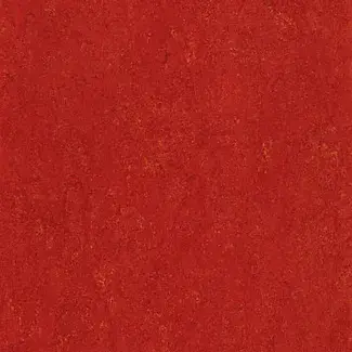 CHILI RED - COLOUR SCAN