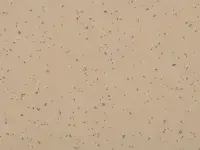 Mipolam Planet 5428 Shedded Ground