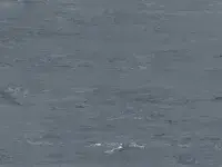 gerflor-mipolam-classic-0013-pewter