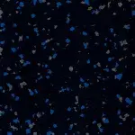 Powershock 80 - Black