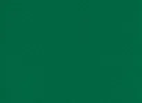 Forest 6557