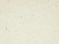 Mipolam Planet 5402 Ivory Dust