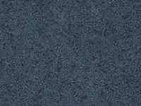 PREMIUM - 0060 METALLICA Dellig